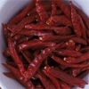 唐辛子 / Chilli