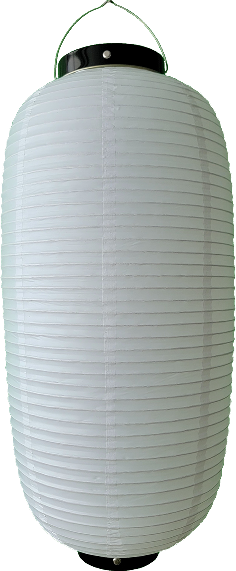 40206 九長 白/白・黒枠